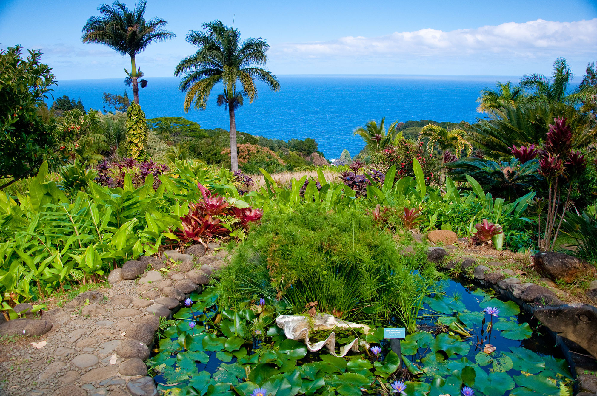 Kula Botanical Garden 